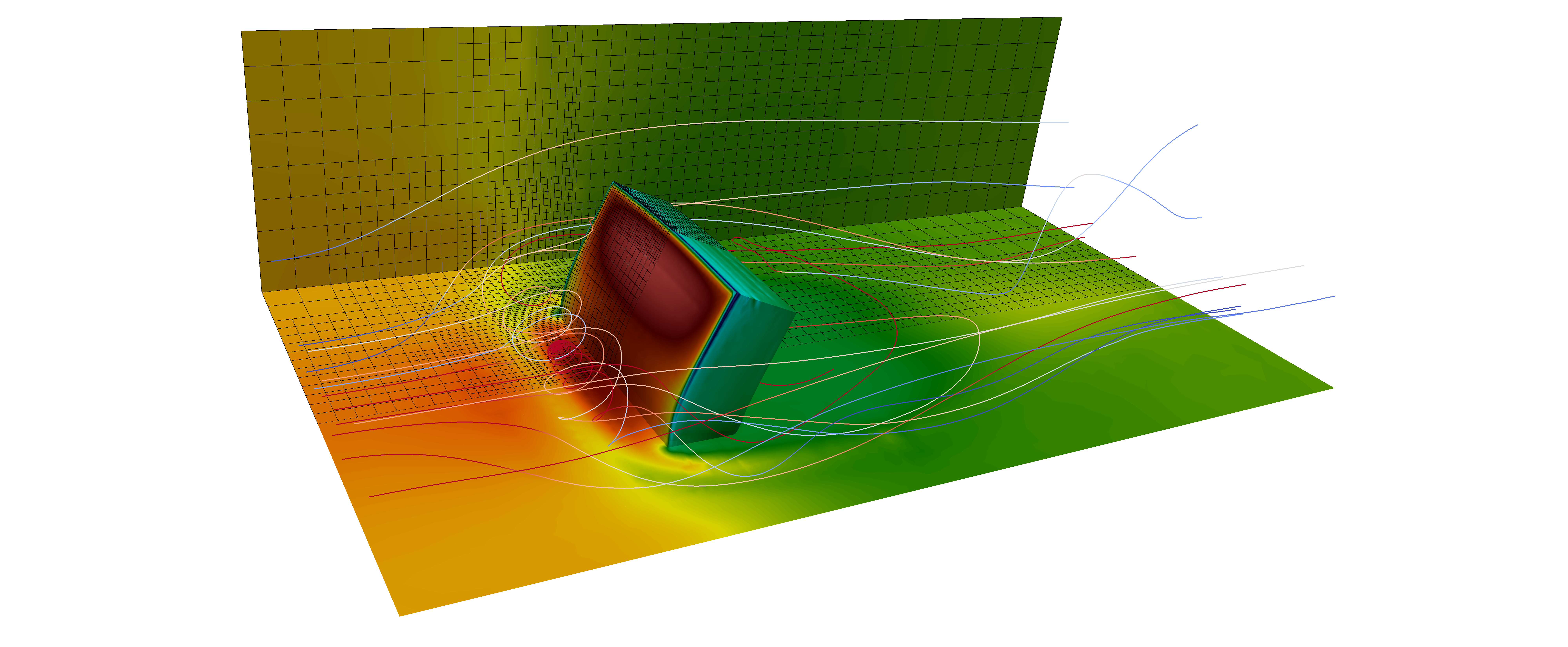 FSI simulation