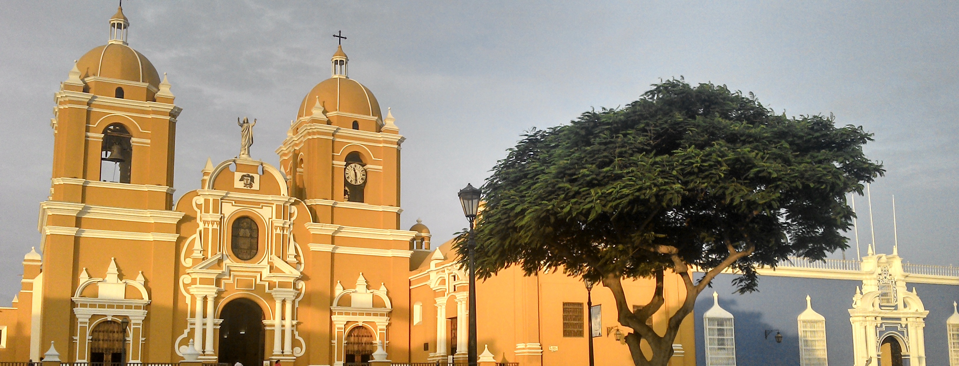 Trujillo 2014